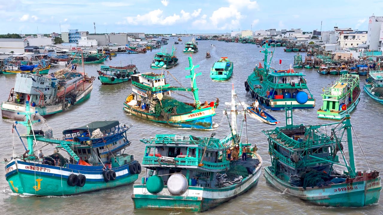 Đoàn Ghe Khủng Nhất Cà Mau | Cửa Biển Ông Đốc Quá Trời Đặc Sản Ngon