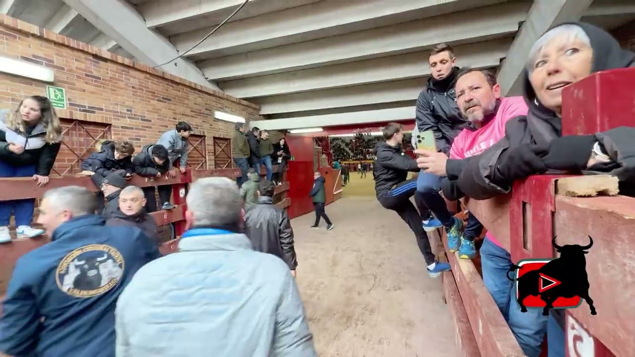 RESUMEN ENCIERRO VALDEMORILLO, SÁBADO 7 DE FEBRERO DE 2026 ￼