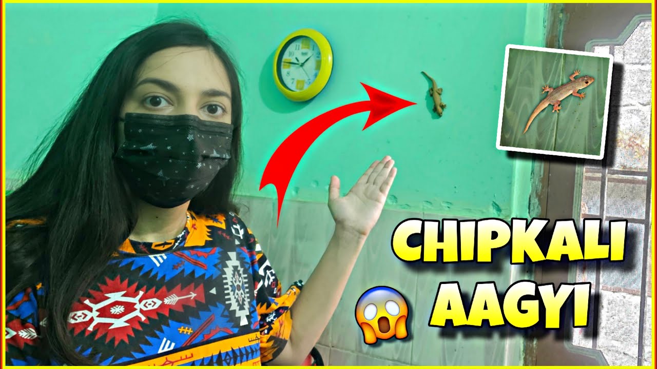 GHAR ME CHIPKALI AAGYI 😰|| ANADHIKA VLOGS