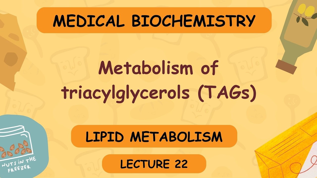 Lecture 22 | Metabolism of triacylglycerols (TAGs)