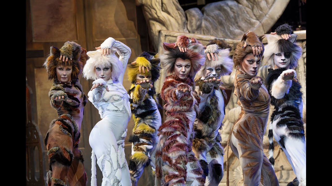 CATS 🔴🔴🔴 Teatro EuropAuditorium ⁓ Stagione 2023 | 24