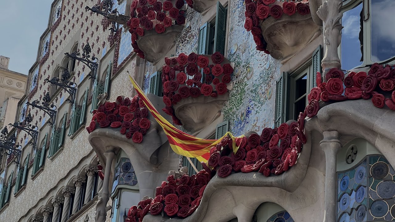 MiniMowaVlog: Diada de Sant Jordi