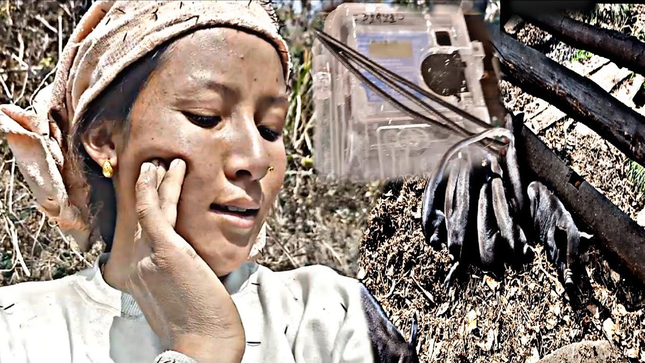 दुई दिन भइसक्यो लाइन दिनभरि नआको🤨जिन्दगी मा  मनले चाहेको कुरा लगनशील भएर गरौ नत्र लथालिङ्ग जिन्दगी