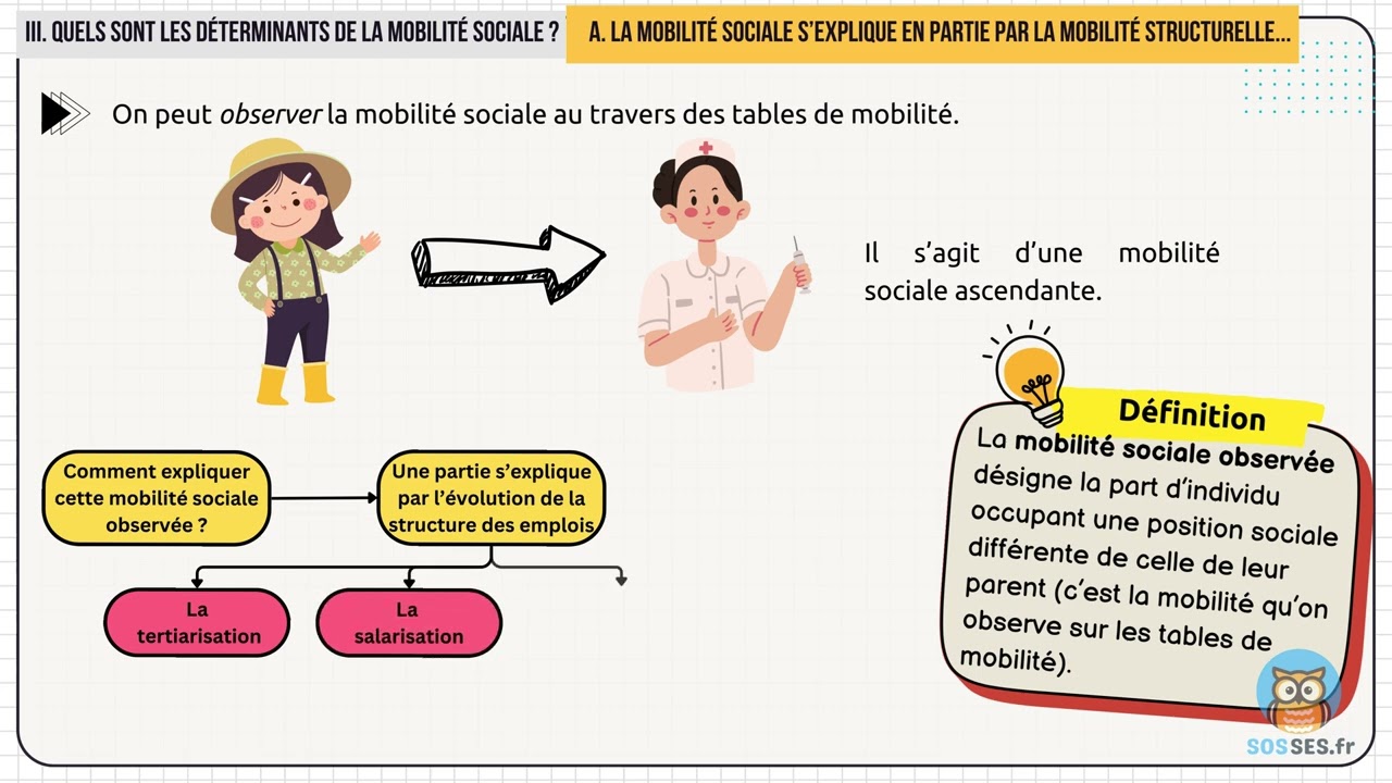 Quelles sont les caractéristiques et les facteurs de la mobilité sociale ? [Partie 3/4]