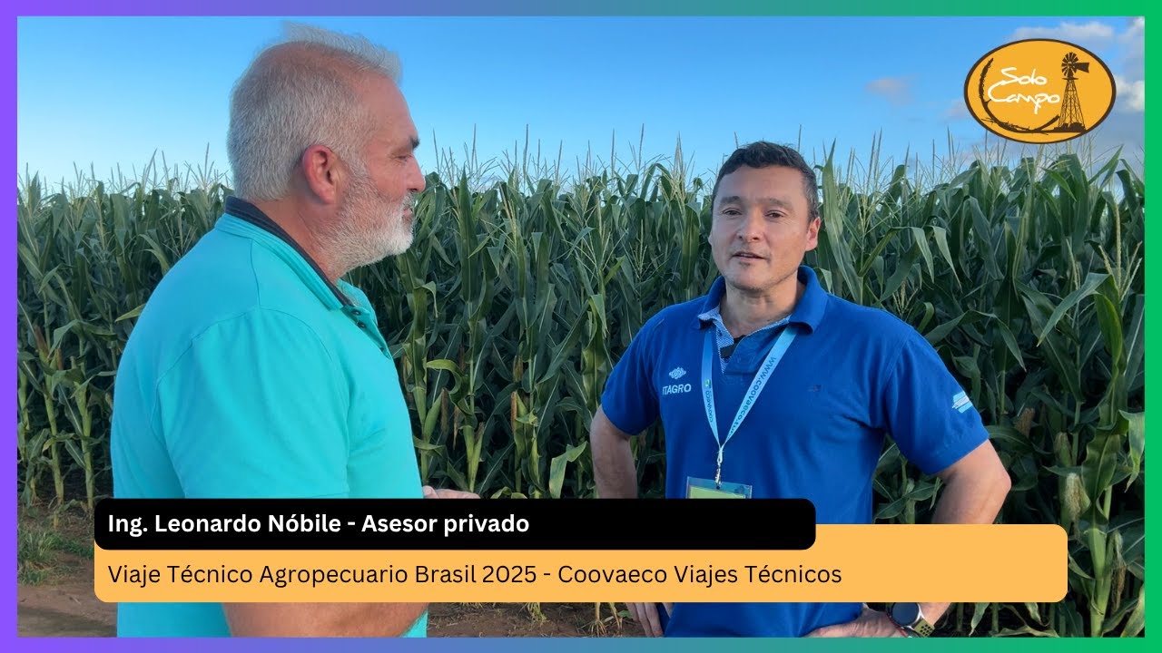 Ing. Leonardo N&oacute;bile - Asesor privado