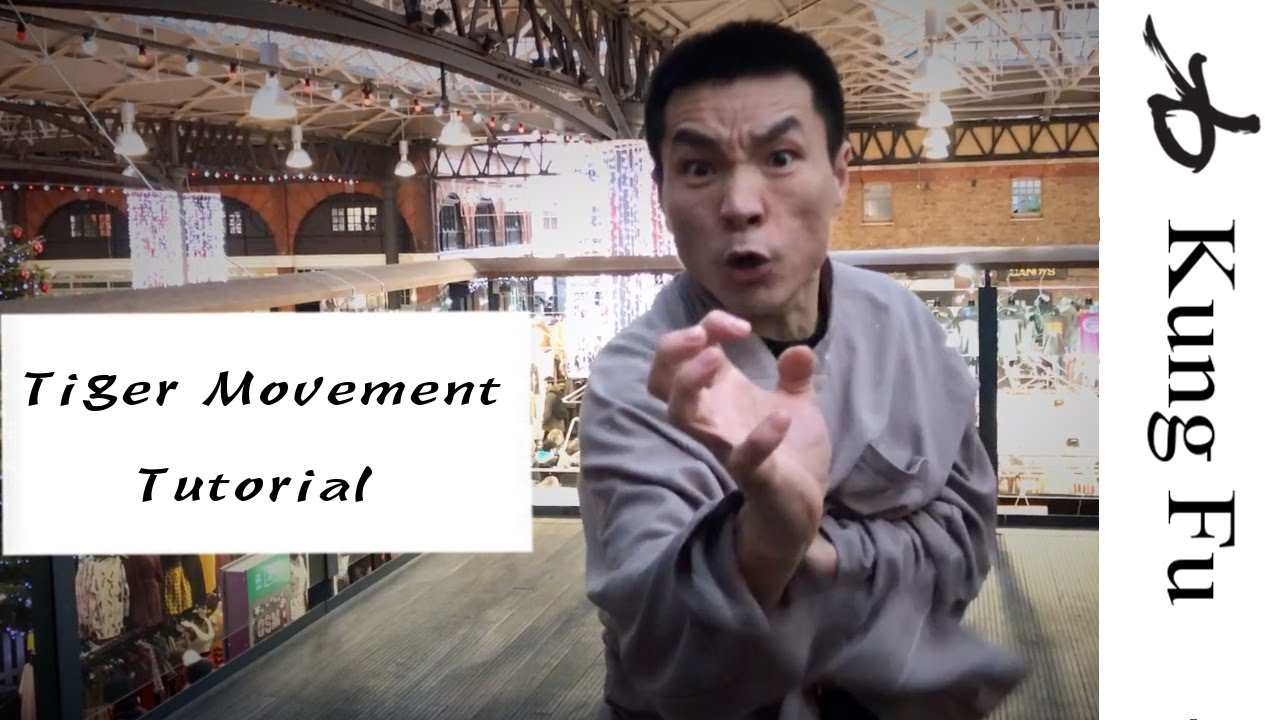 How to Train Like a Tiger | shaolin kung fu