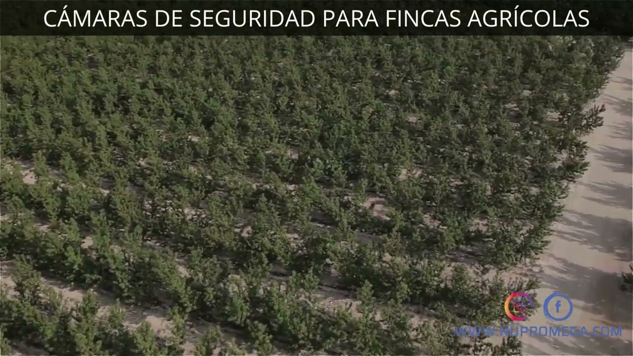 C&Aacute;MARAS DE SEGURIDAD PARA FINCAS AGR&Iacute;COLAS NUPROMEGA 2022