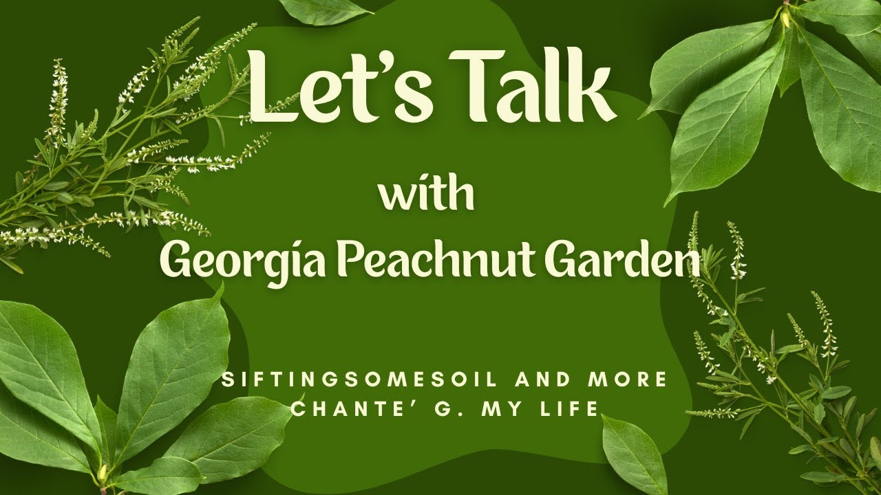Let's Chat with Georgia Peachnut Garden