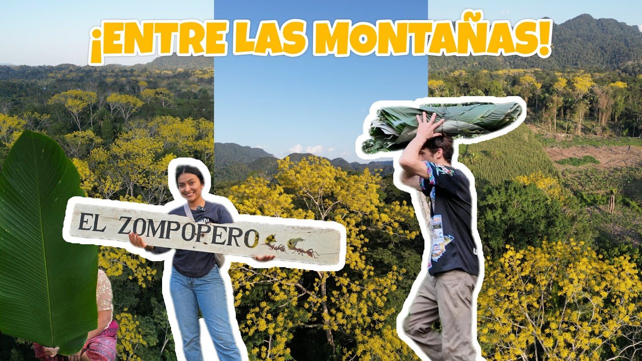 ASÍ  ES LA VIDA EN EL AREA RURAL DE GUATEMALA...🇬🇹😍 Riqueza pura🏵