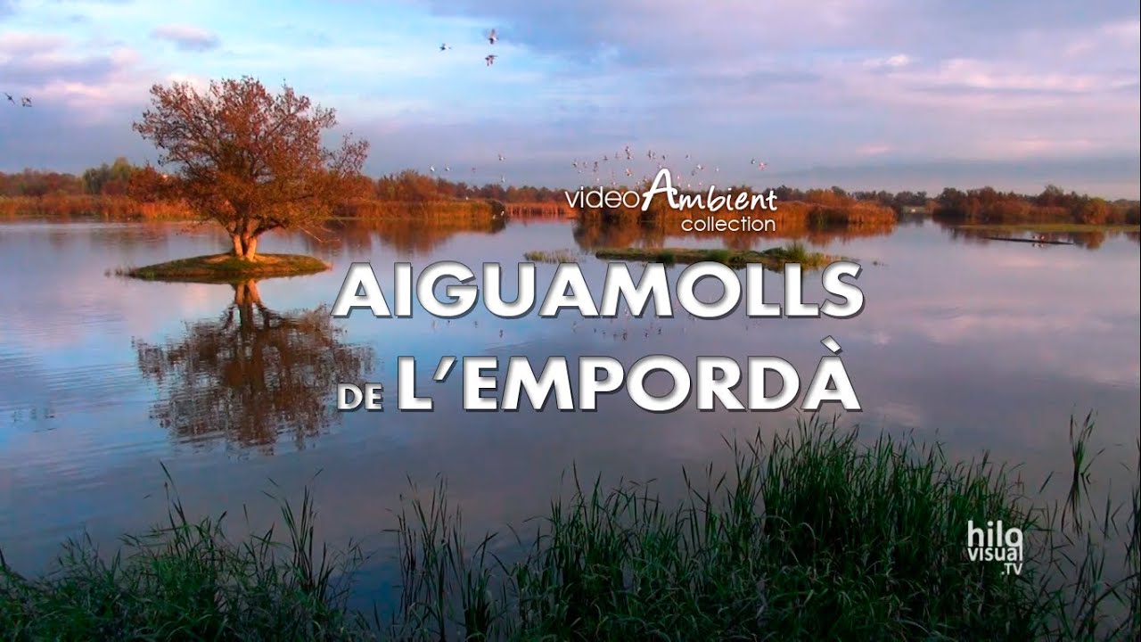 Els Aiguamolls de l'Empord&agrave; - Wildlife in the Wetlands of Emporda