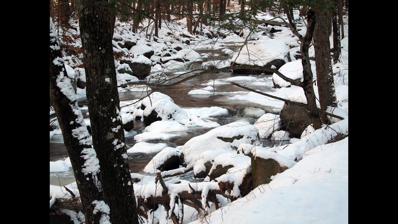 Hiking #805 (12/15/2025) Chipmunk Mt