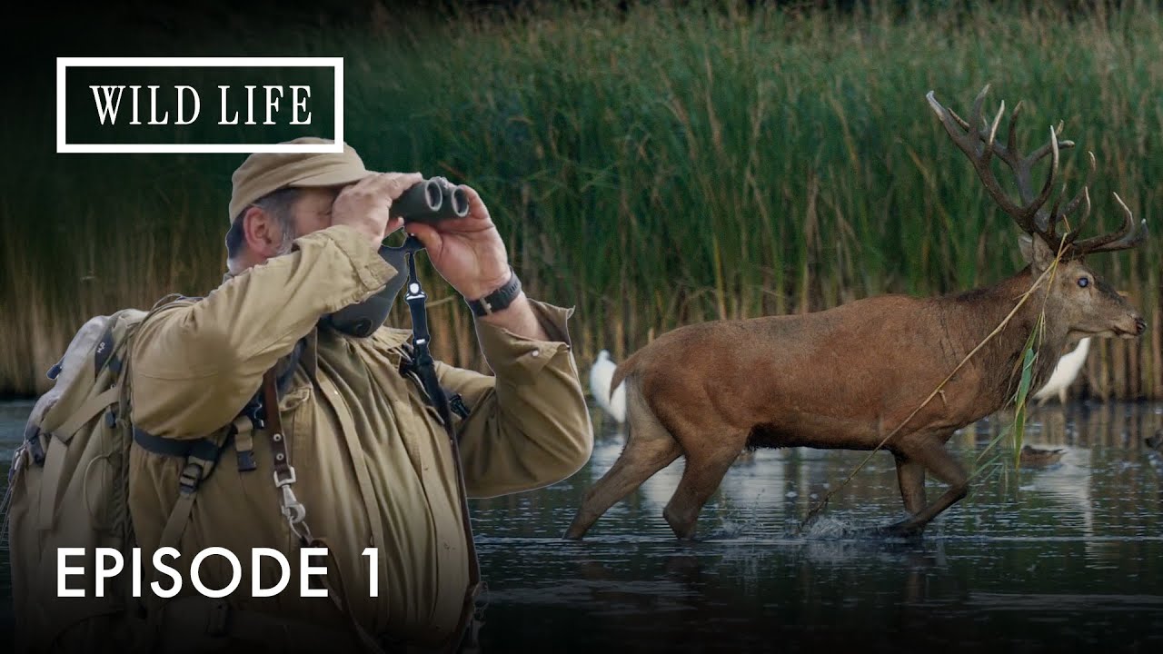 When Mining Ends, Nature Begins | Metamorphoses - The Return of the Wilderness | Episode 1