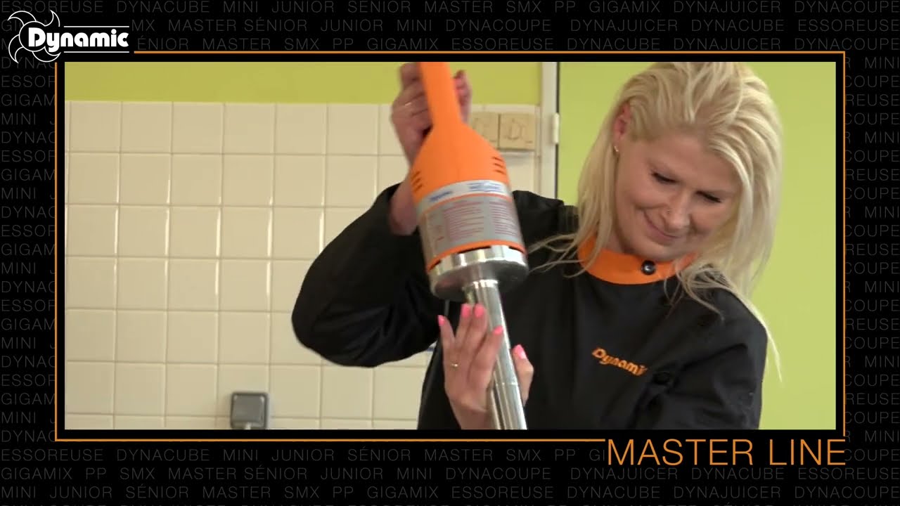 Dynamic Master Single Speed Stick Blender MX91