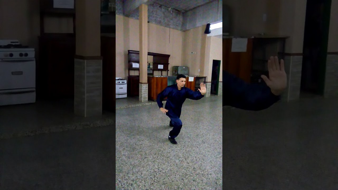 FORMA 9 DE TAI CHI ESTILO YANG