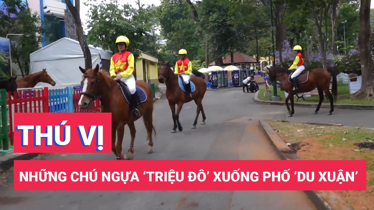 Những chú ngựa ‘triệu đô’ xuống phố ‘du xuân’