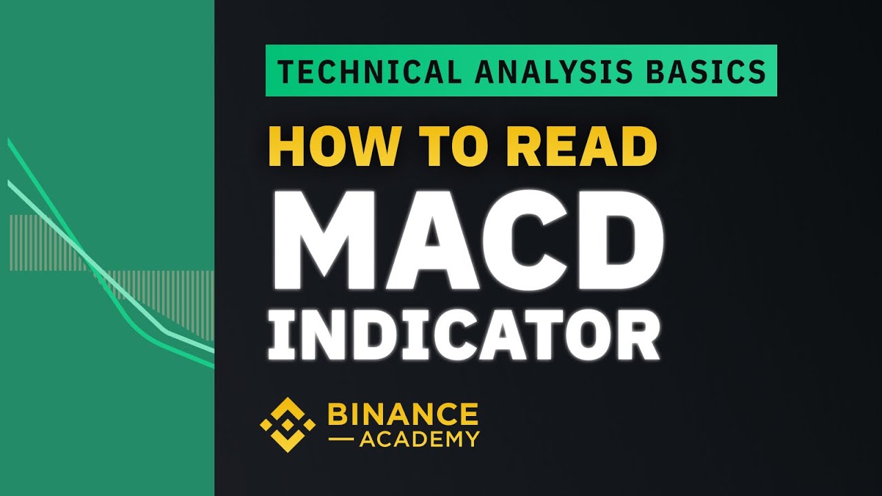 How to Read MACD Indicator  ｜Explained For Beginners