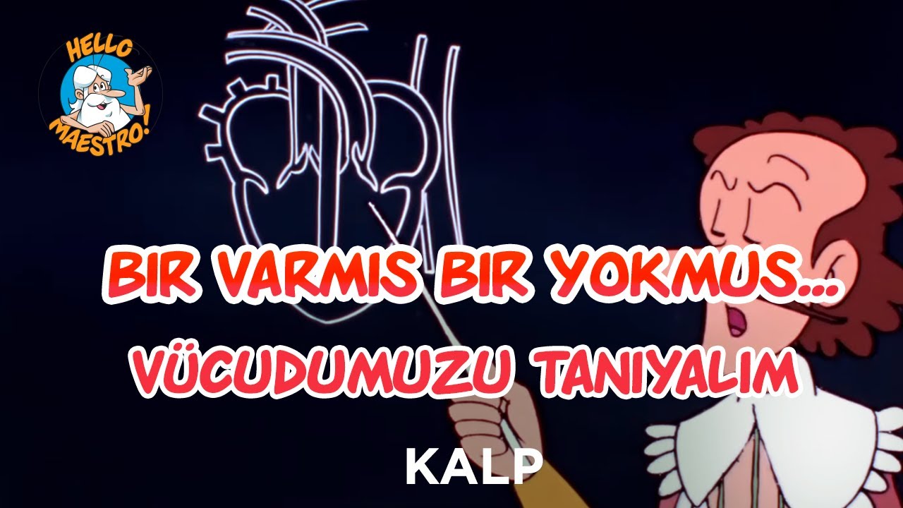 Bir Varmış Bir Yokmuş...Vücudumuzu Tanıyalım Kalp Ep07