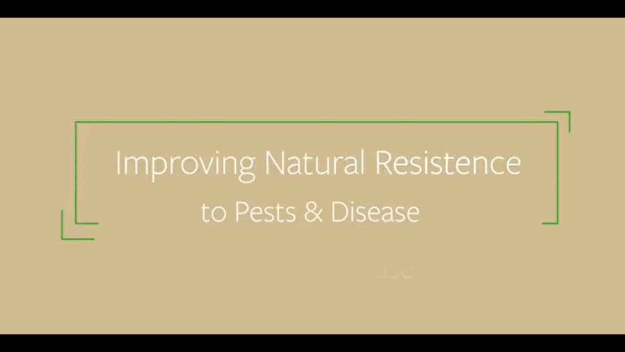 Improving Natural Resistance to Pests and Disease | Harley Smith's Master Growers Series