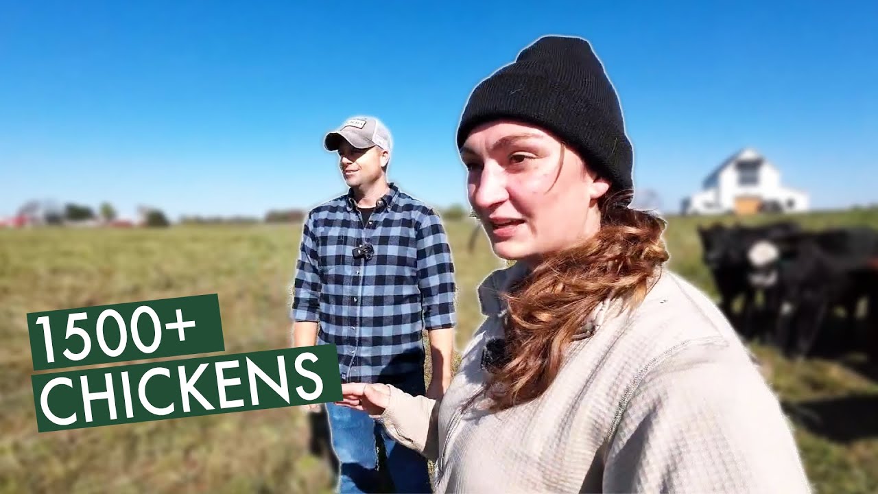 The Secrets Behind Nutrient-Dense Grass-Fed Beef (Grown Well Farm)