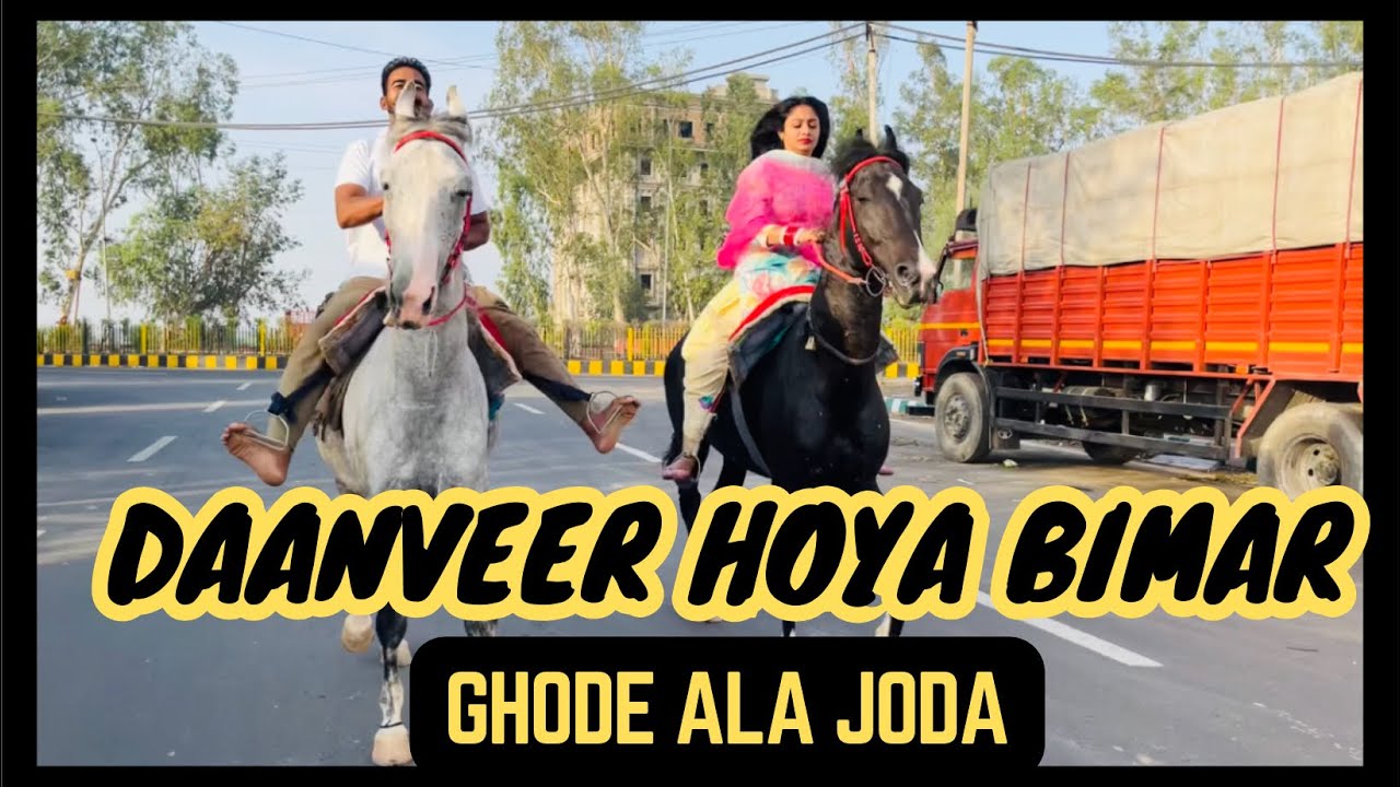 DAANVEER HOYA BIMAR ||horse cold || horse riding couple || horses || horse lovers || Marwari horse |