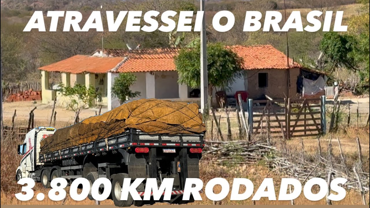 DO CEARÁ AO CEASA DO CURITIBA FORAM MAIS DE 3.800 KM ATÉ CHEGAR AO CEASA