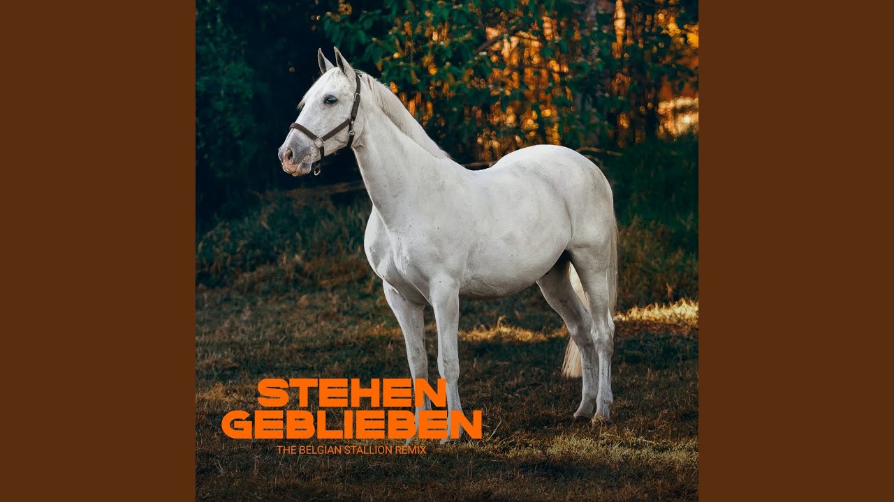 Stehen geblieben (The Belgian Stallion Remix)