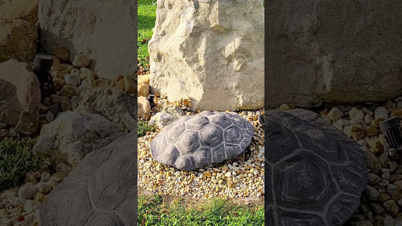 A turtle shell for your garden #concretedecor #gardendecoration #gardendecorationideas