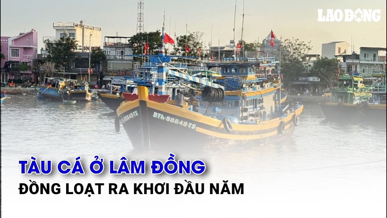 Tàu cá ở Lâm Đồng đồng loạt ra khơi đầu năm| Báo Lao Động