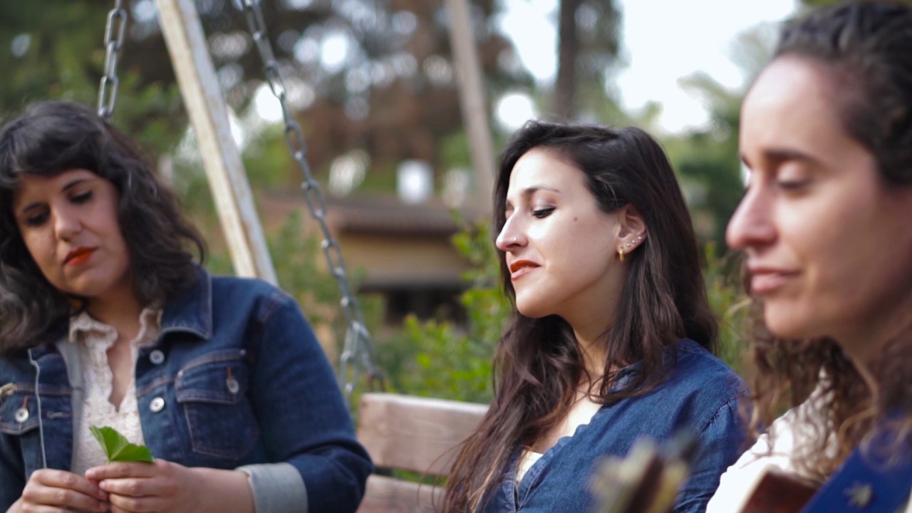 שדות גולדברג | שלוש ציפורים (קאבר)