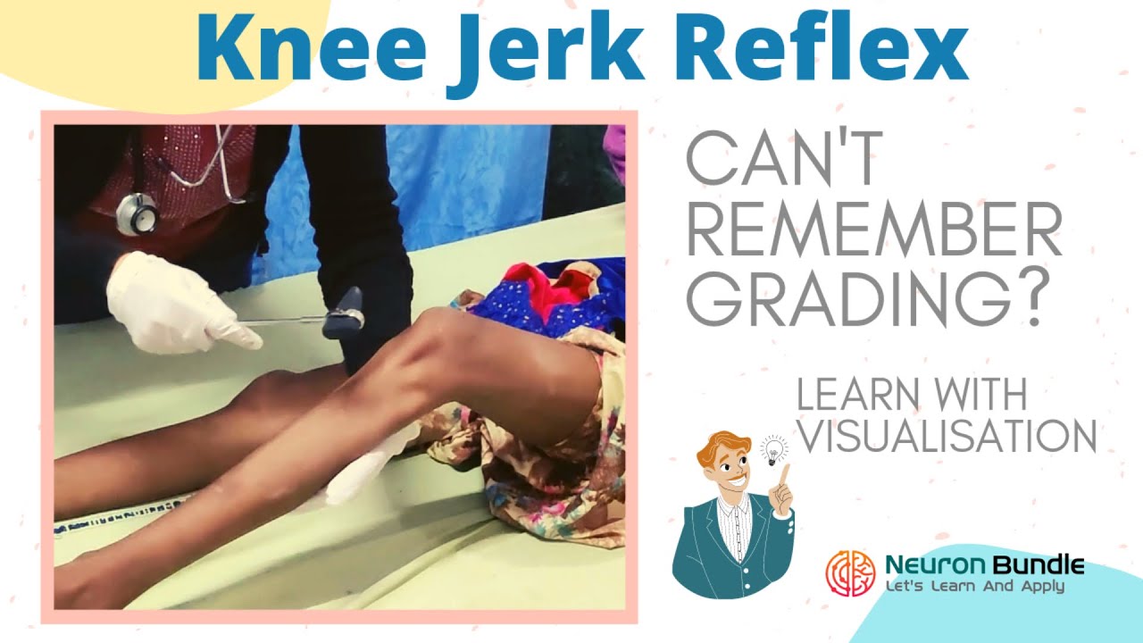 knee jerk reflex I all 4 grades with demo on patients I brisk tendon reflex |rootvalue I neurology