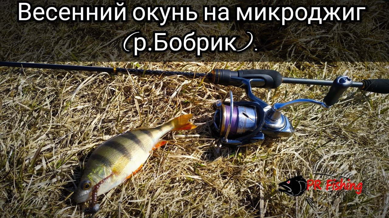 Весенний окунь на микроджиг. 