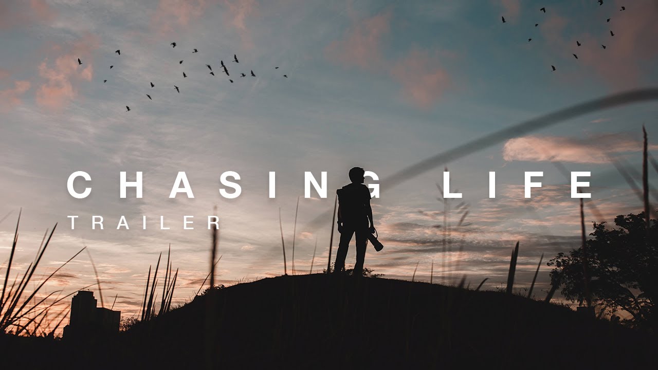 Chasing Life (TRAILER) | A Documentary On Wildlife Photographers In Singapore.