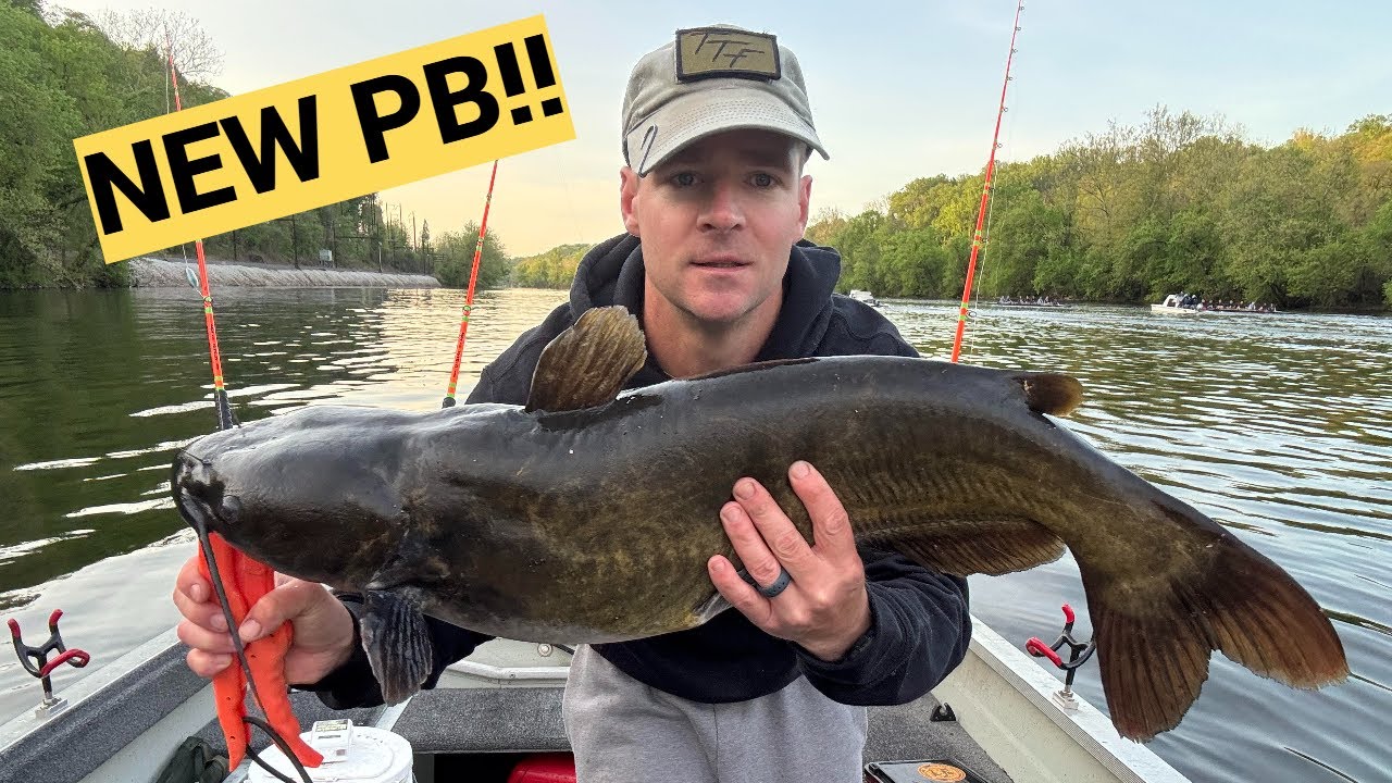 NEW PB Channel Catfish Using Cut Bait!