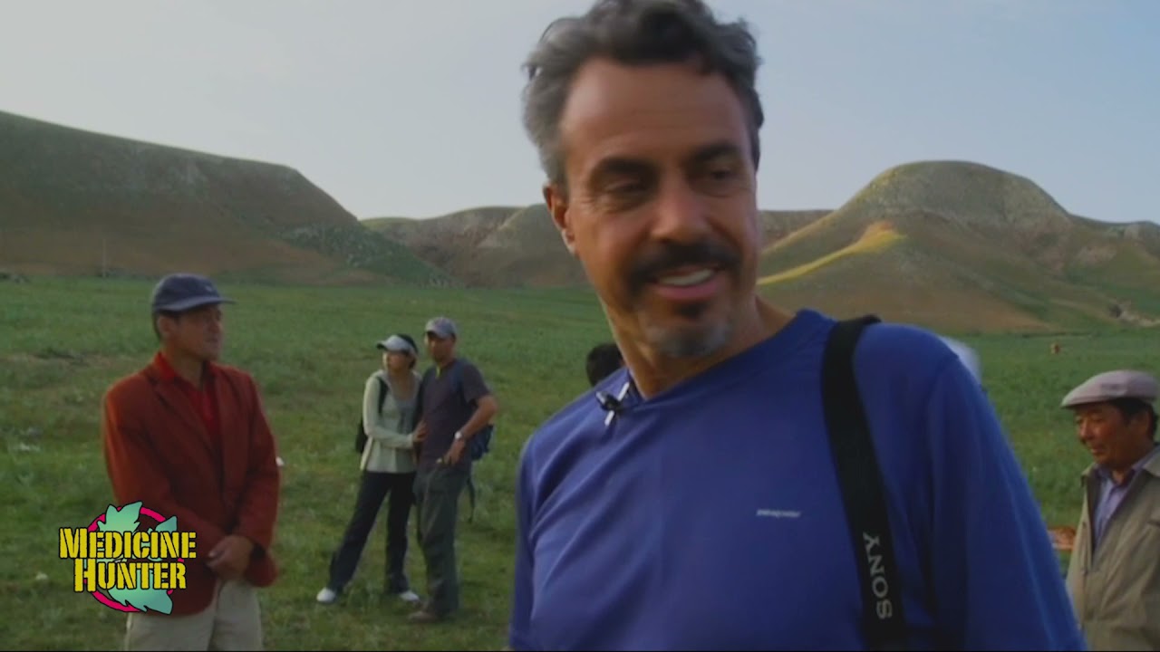 Nature's Medicine Cabinet - Rhodiola