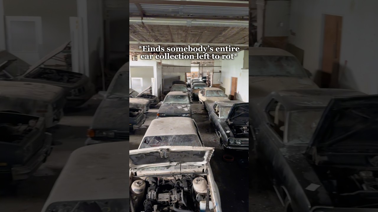 We found a fully abandoned car collection&hellip;🤯
