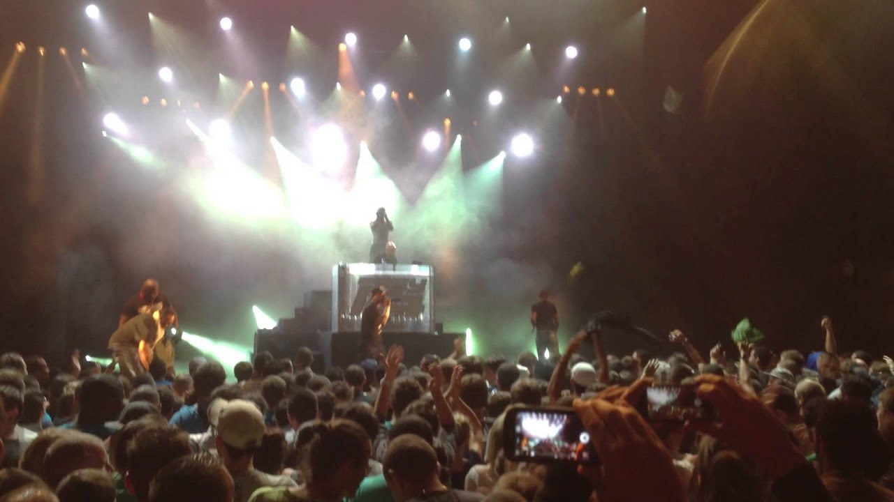 PSY4DELARIME - Harlem Shake - LIVE - 29 juillet 2013 - @ Lyon - Nuits de Fourvi&egrave;re
