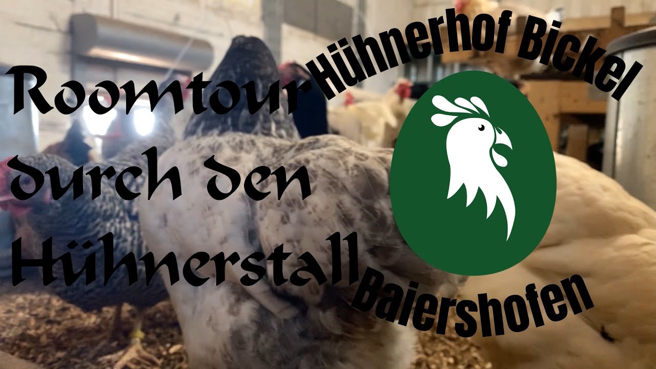 Roomtour durch den Hühnerstall -- Hühnerhof Bickel