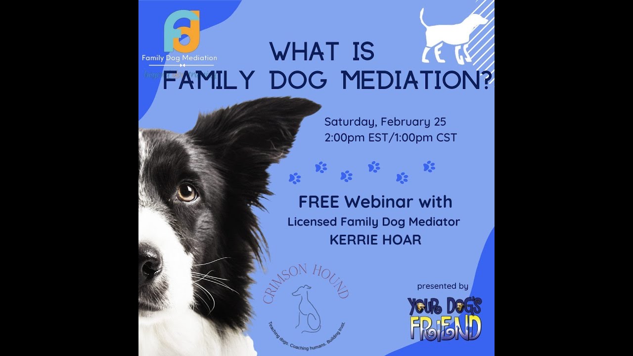 Family Dog Mediation: Going Beyond Training to Understand Your Dog's Behavior - 2-25-23