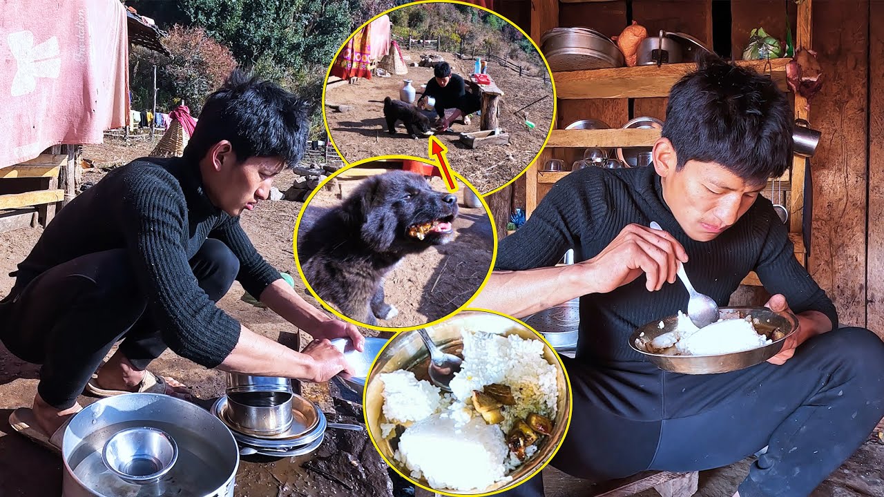 Sanjip feeding Puppy || Sanjip doing household works || Pork Curry & rice@sanjipjinarai