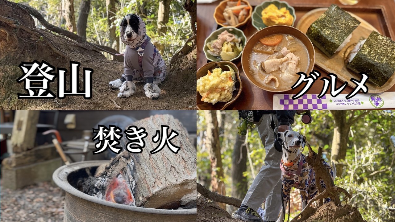 最高の散歩コース見つけた【のんびりっくチャンネル】