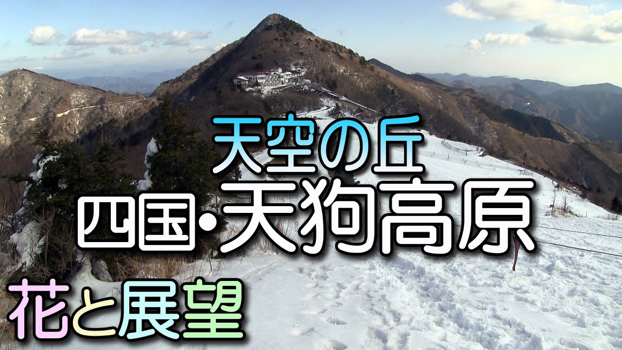 天狗高原。四国、天空の丘、冬の大展望。花と展望。