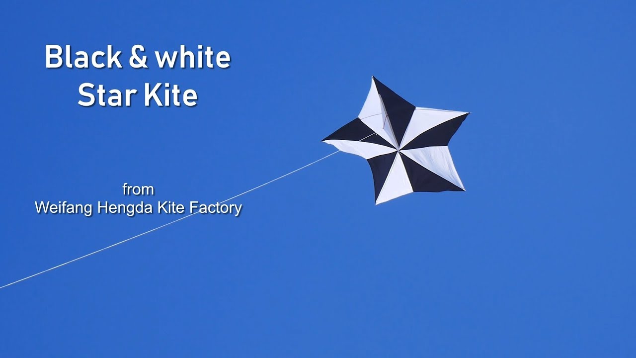 Black & White Star kite