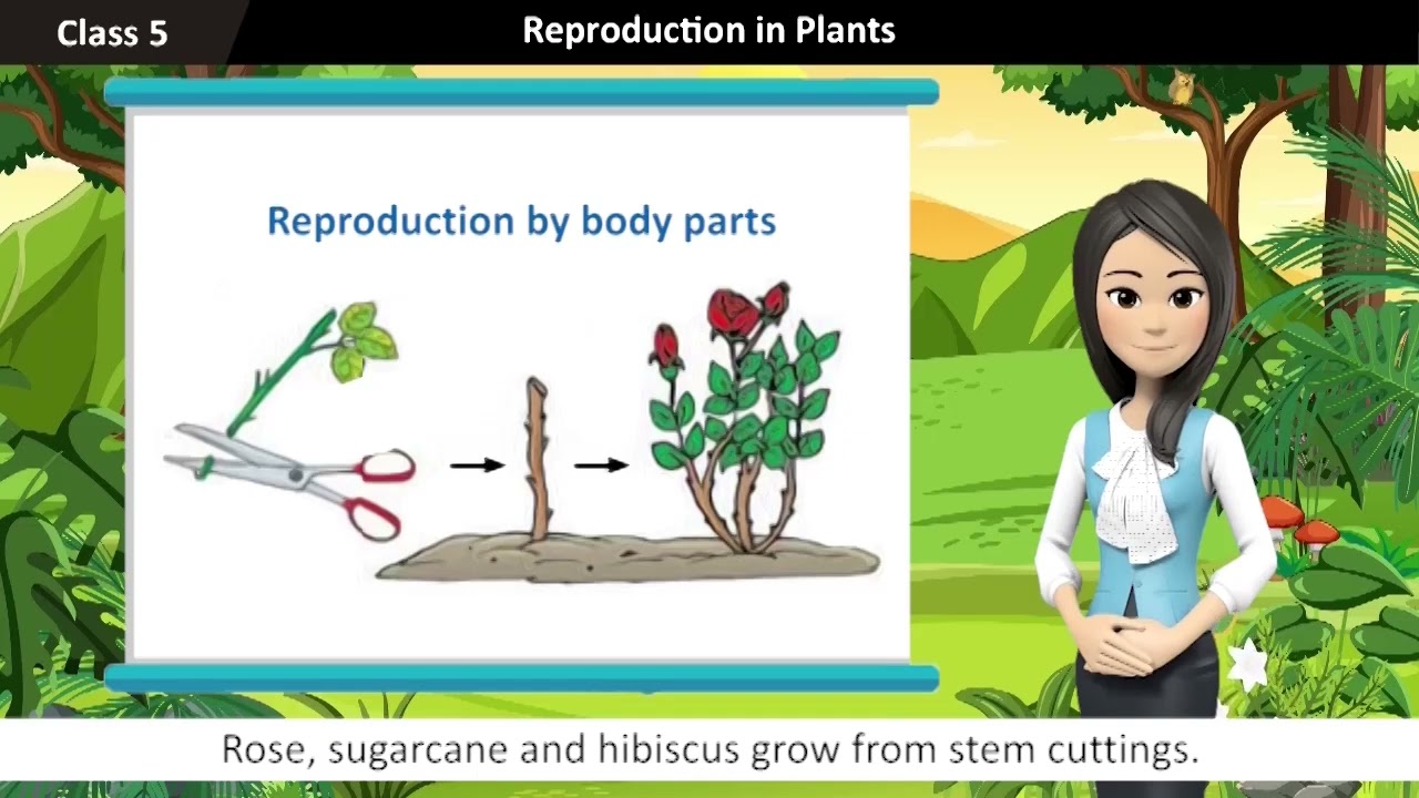 Bond Science Class 5 Chapter 1 Reproduction in Plants