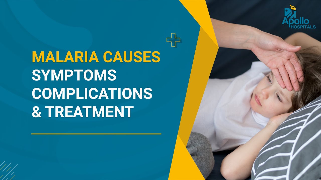 Malaria: Causes, Symptoms, Complications & Treatment | Infectious Diseases | Mosquito Borne Disease