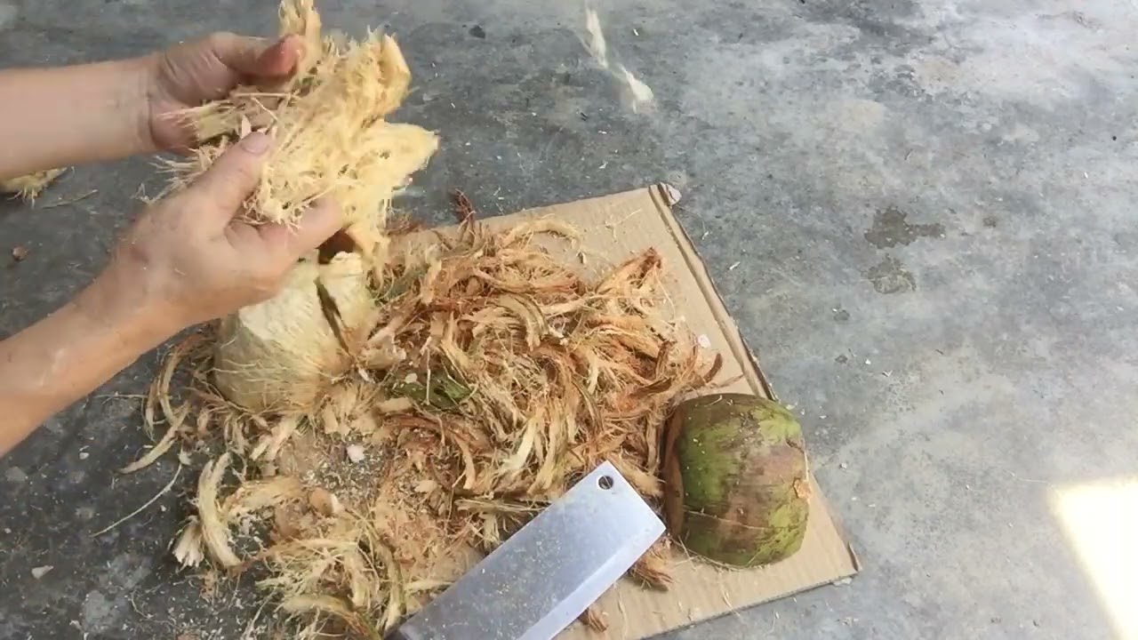 Đây là cách tôi lấy xơ dừa thủ công