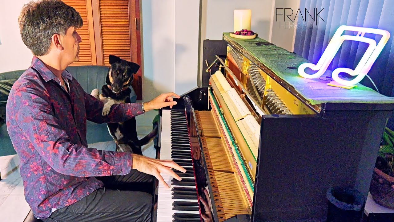 Distracted by Dog: Concentration Challenge!_Piano Prelude n°17