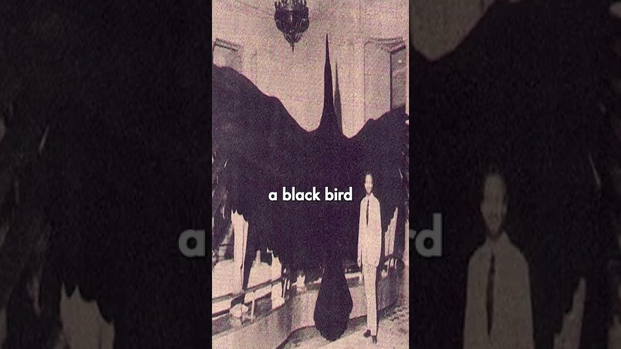 Is the Thunderbird real? #cryptids #monster #interestingfacts #scary #myths