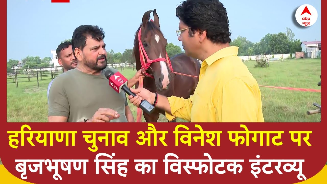 Brij Bhushan Singh Exclusive: हरियाणा चुनाव और विनेश फोगाट पर बृजभूषण सिंह का विस्फोटक इंटरव्यू |