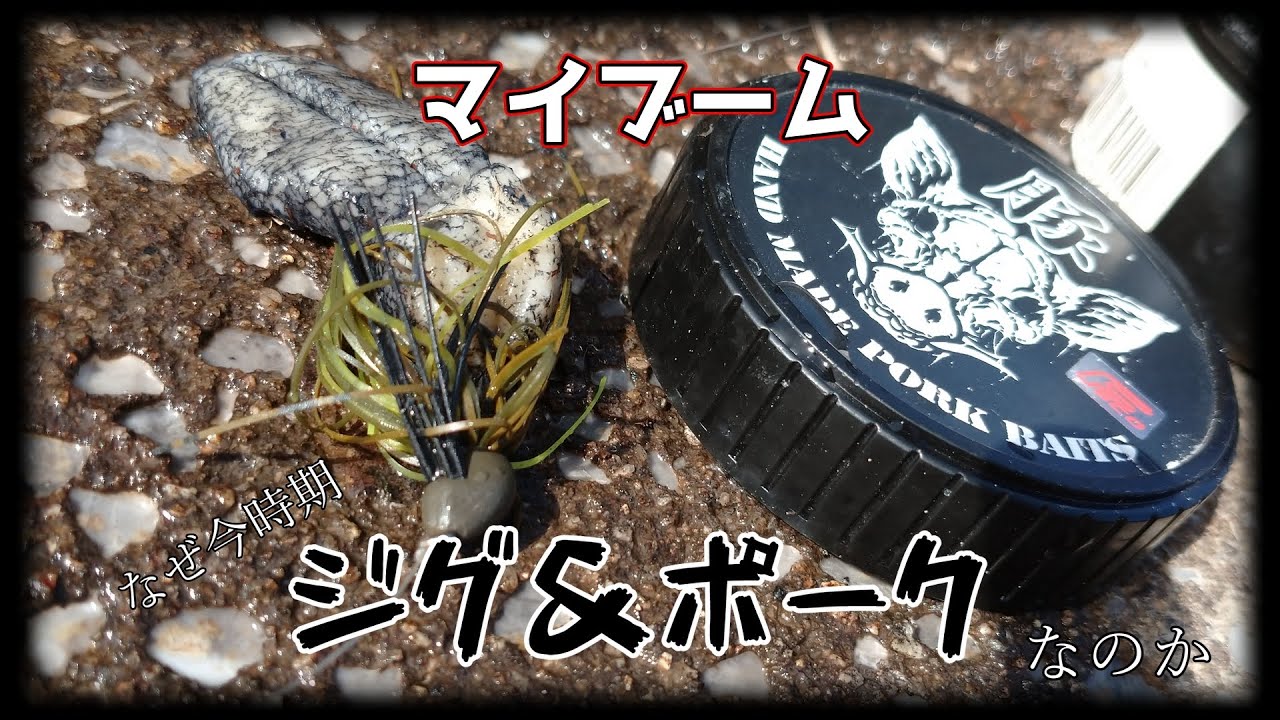 【SCラバージグ】ボリュームがあるからジグはデカいのが食うだって？【ピックダディjr】