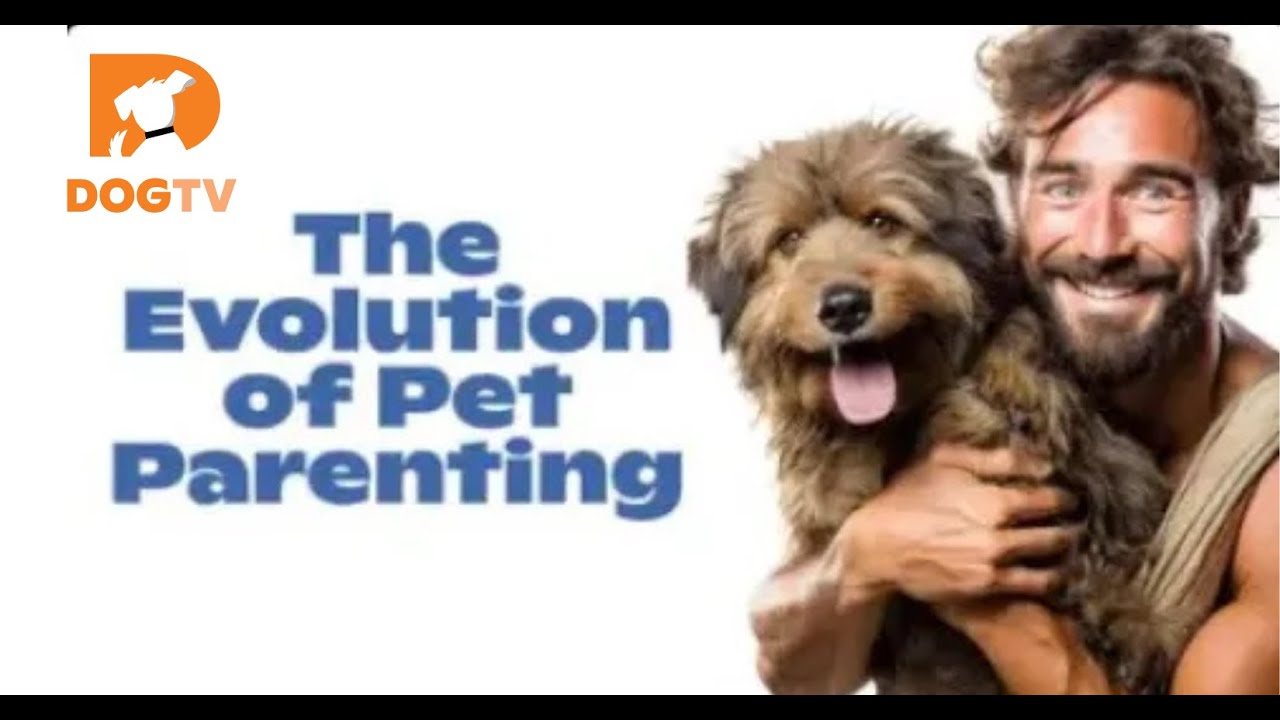 DOG TV The Evolution of Pet Parenting